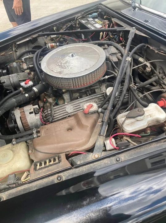 Jaguar Replica - Image 2 of 10