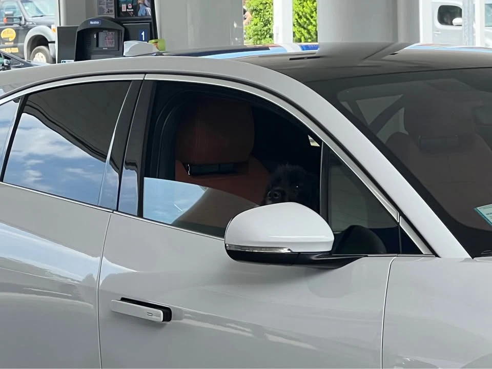 2020 Jaguar I-Pace - Image 7 of 10