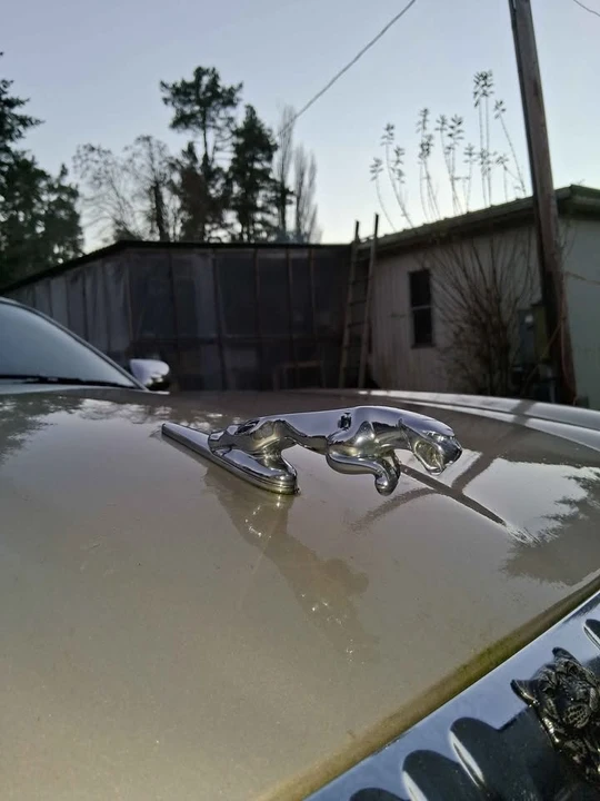 1998 Jaguar X308 XJ - Image 4 of 10