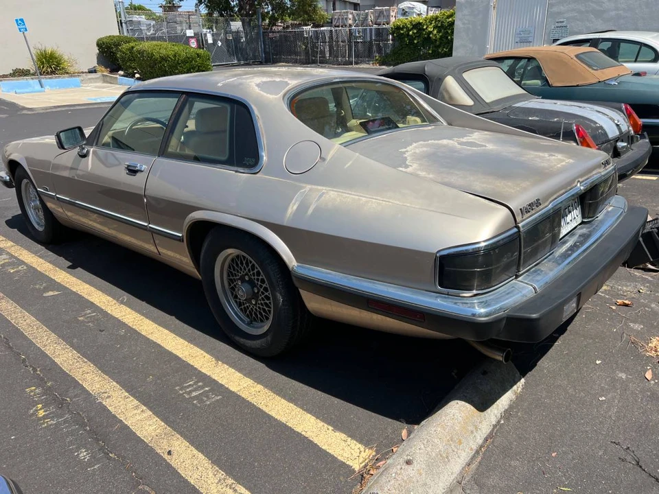 1992 Jaguar XJ-S TWR - Image 10 of 11