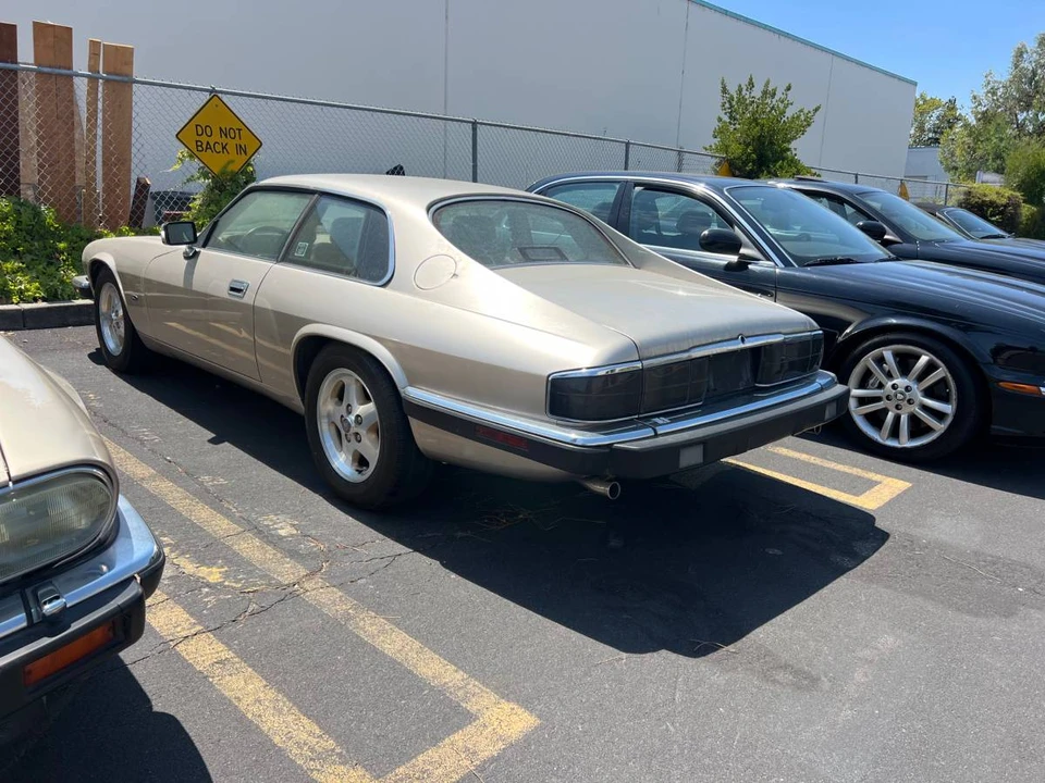 1992 Jaguar XJ-S TWR - Image 8 of 11