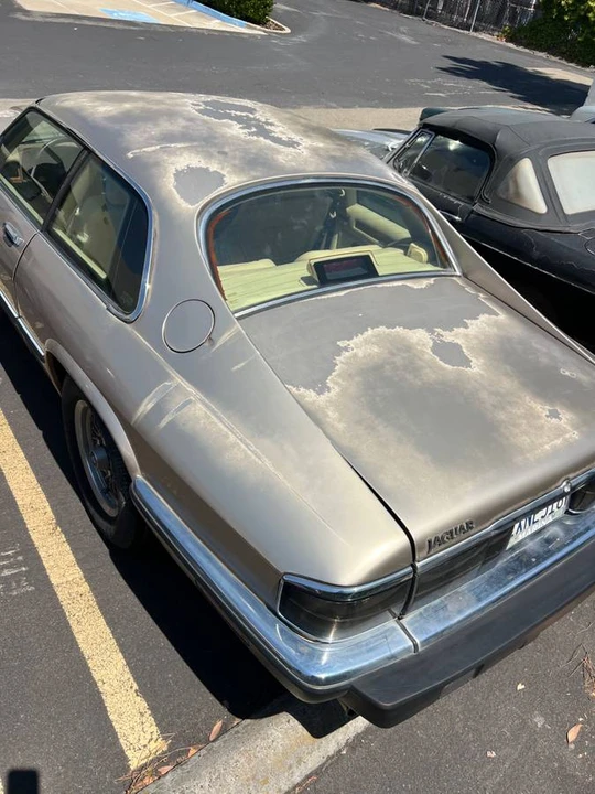 1992 Jaguar XJ-S TWR - Image 11 of 11