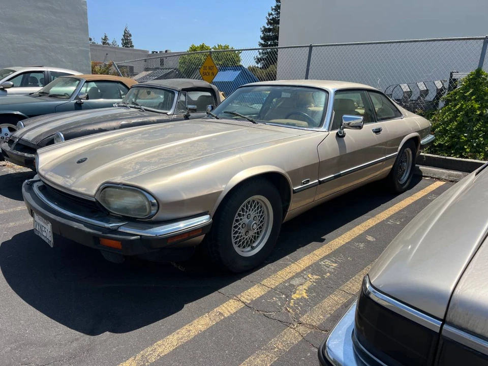 1992 Jaguar XJ-S TWR - Image 9 of 11