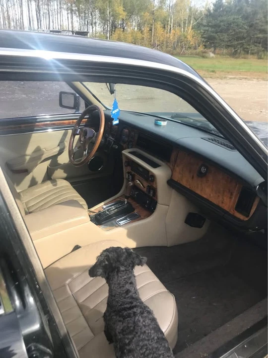 1989 Jaguar XJ40 XJ - Image 3 of 9