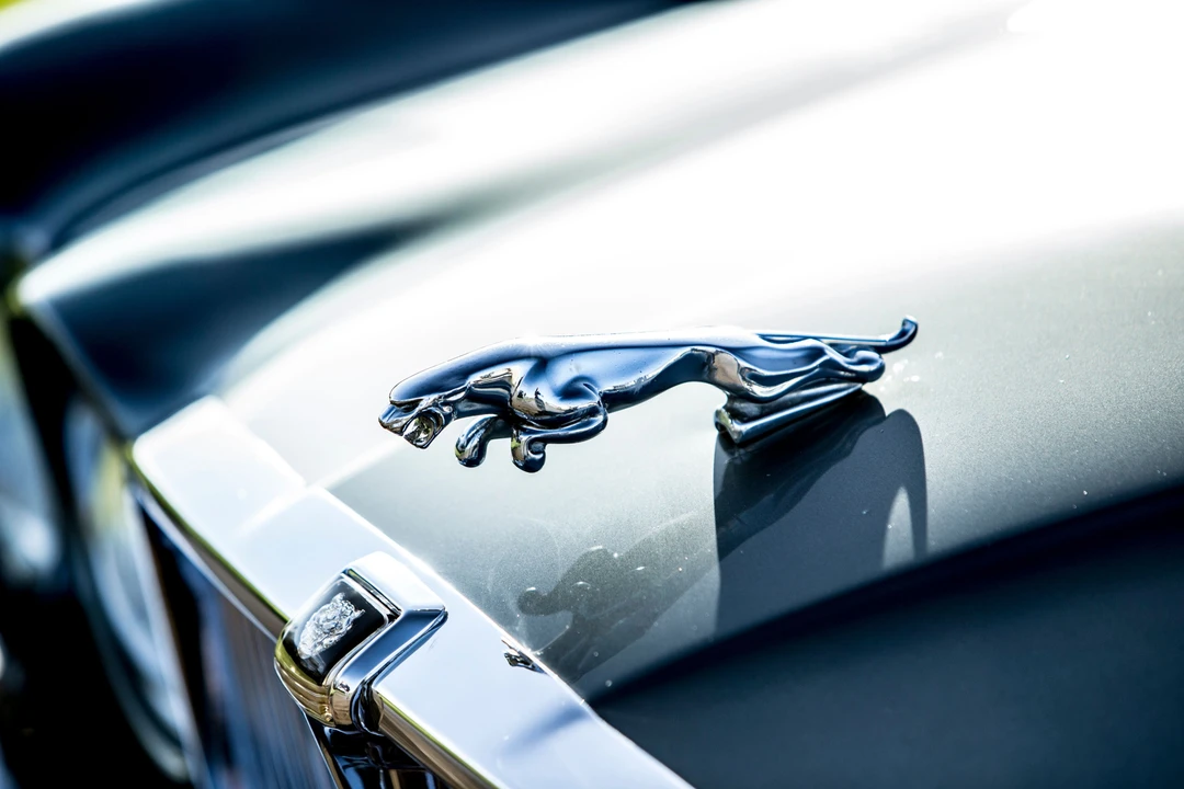 Jaguar XJ Series 3 - Image 15 of 16