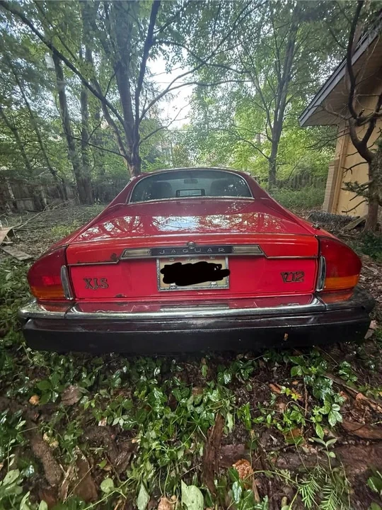 1989 Jaguar XJS - Image 8 of 9