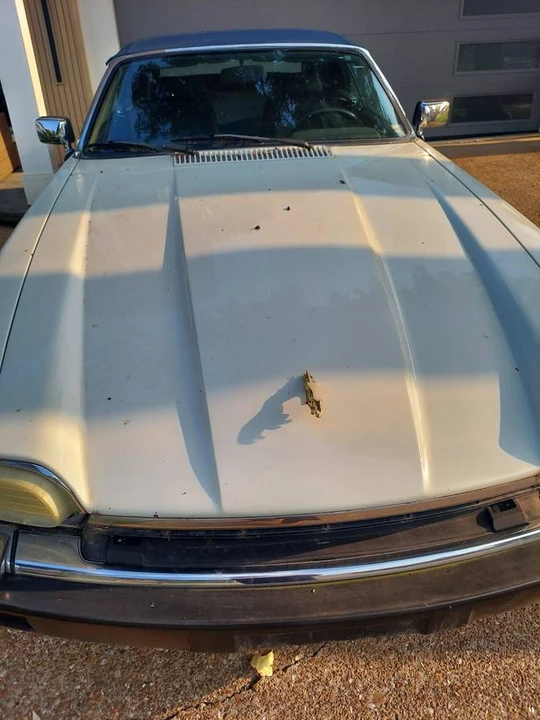 1992 Jaguar XJS Convertible - Image 4 of 5
