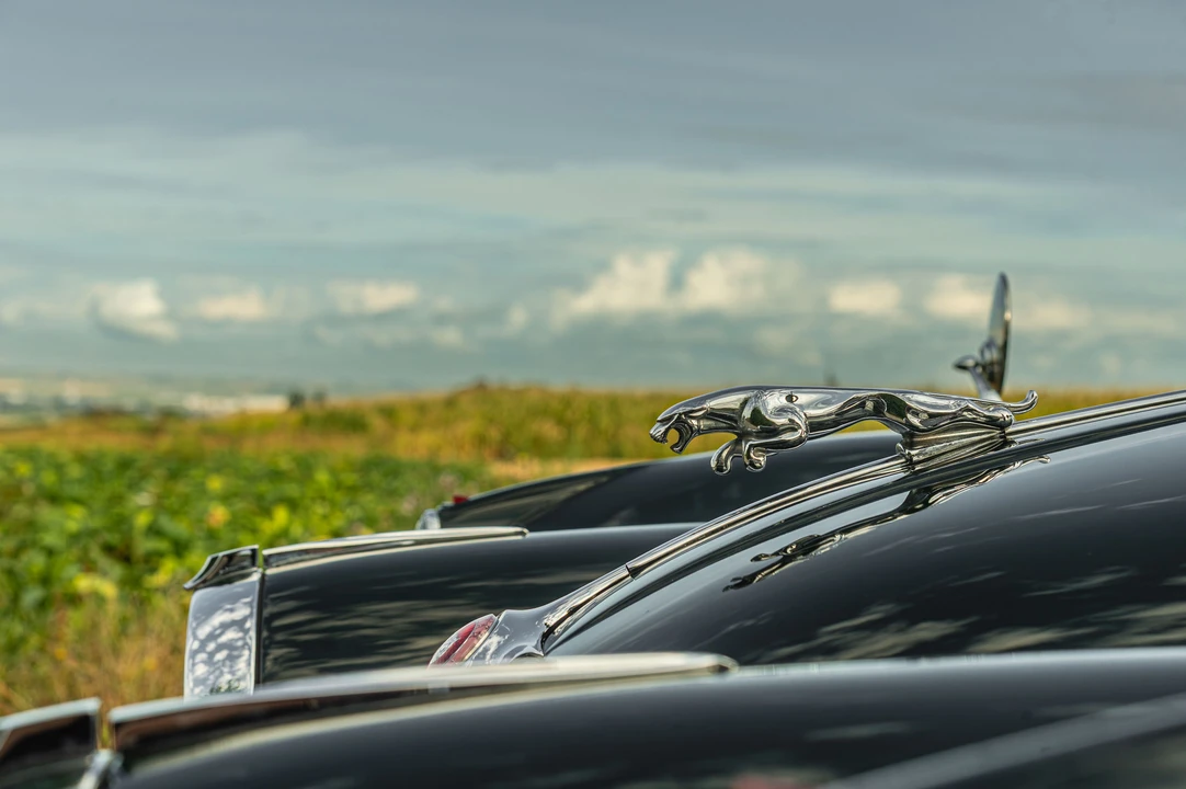 Jaguar XK150 DHC Drophead - Image 18 of 31