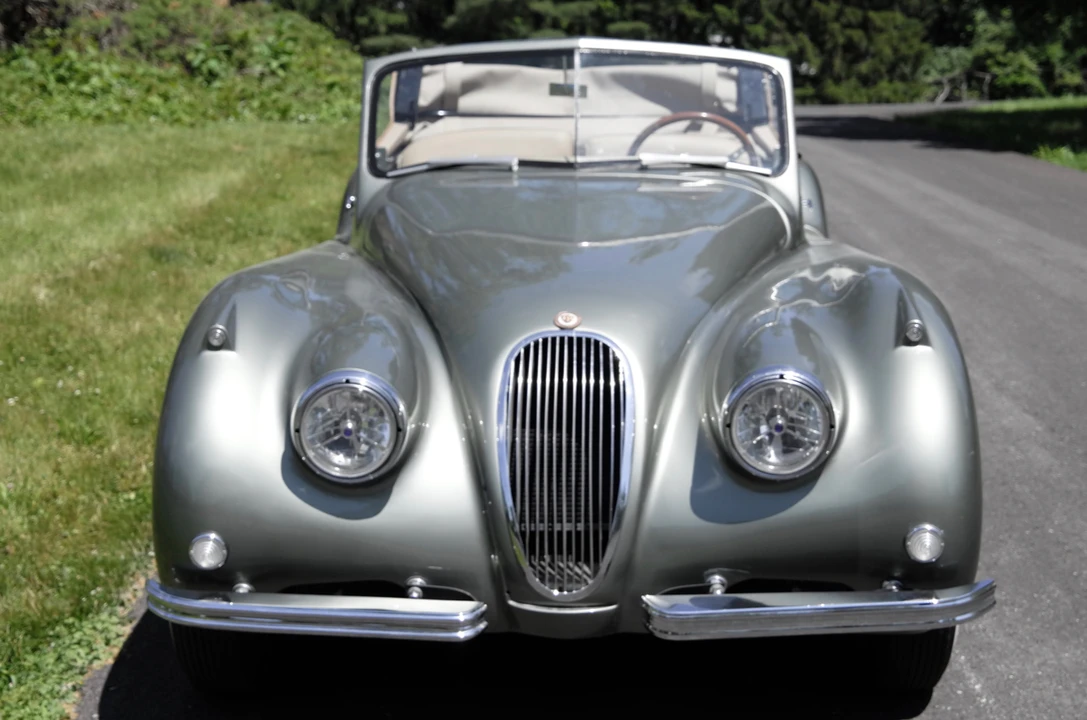 Jaguar Replica - Image 7 of 31