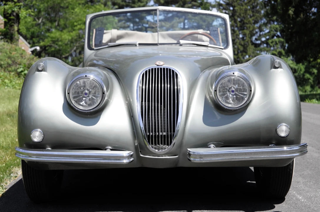 Jaguar Replica - Image 8 of 31