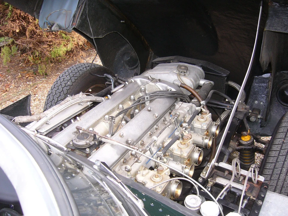 Jaguar Replica - Image 2 of 11