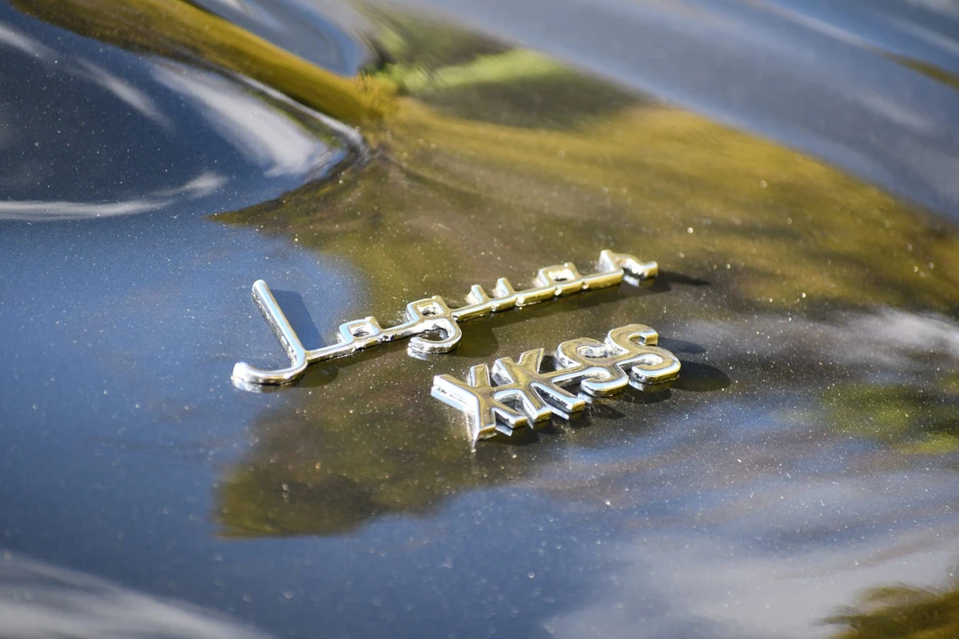 Jaguar Replica - Image 20 of 31