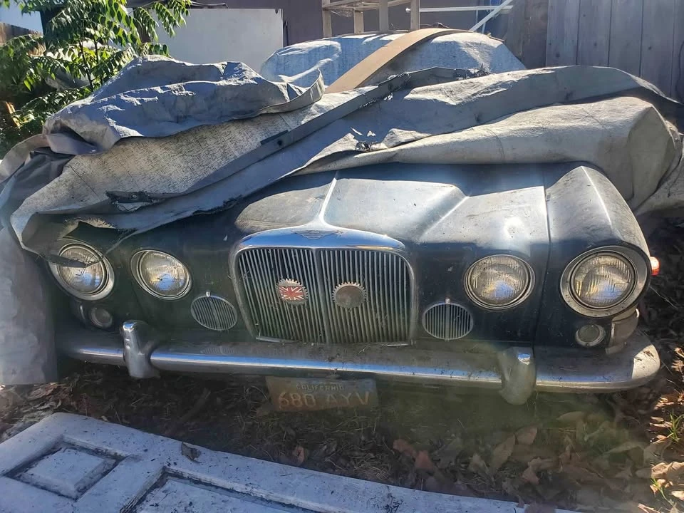 Jaguar - Image 1 of 2