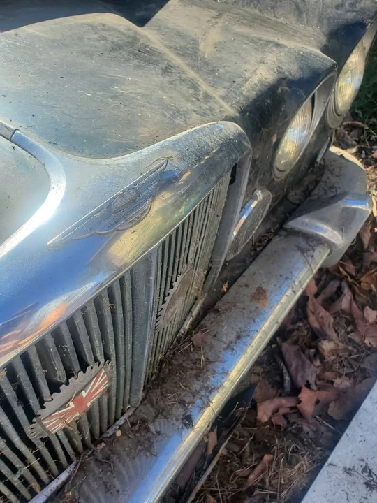 Jaguar - Image 2 of 2