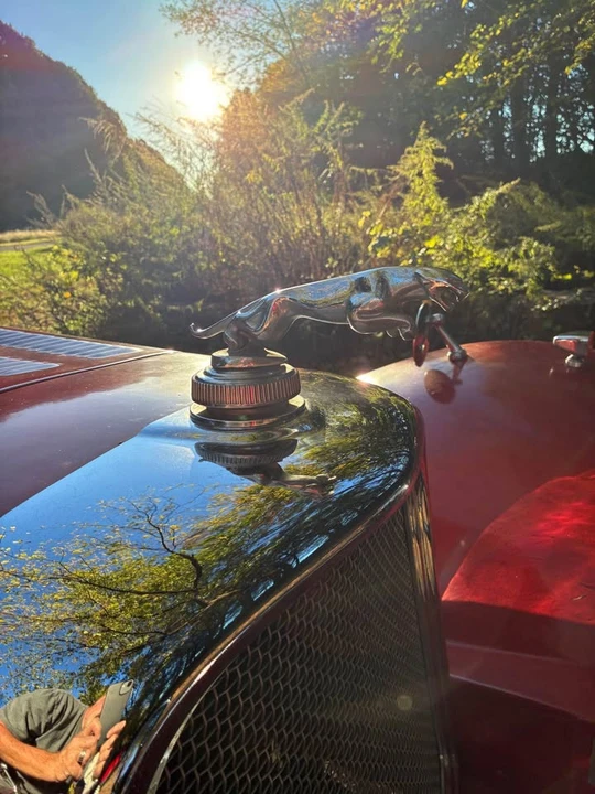 1984 Jaguar Replica - Image 10 of 10