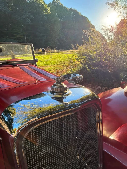 1984 Jaguar Replica - Image 2 of 10