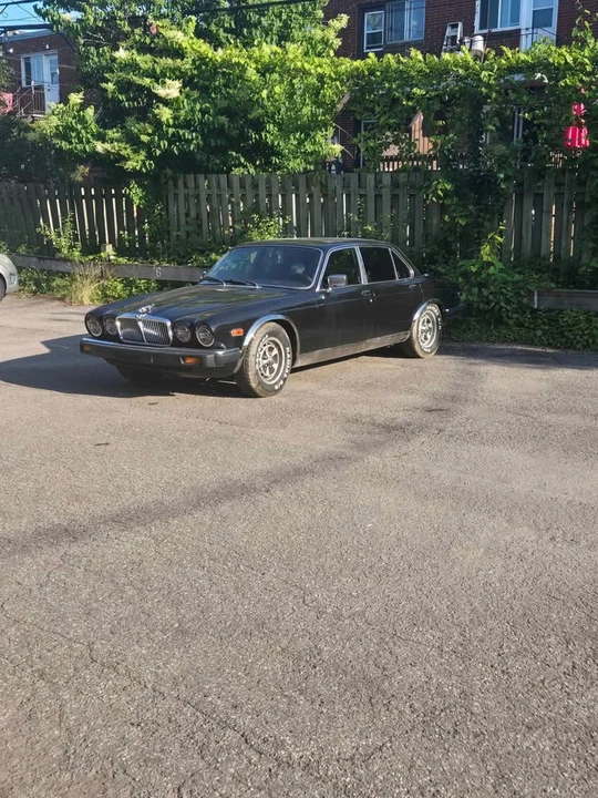 1984 Jaguar XJ Series 3 - Image 2 of 2