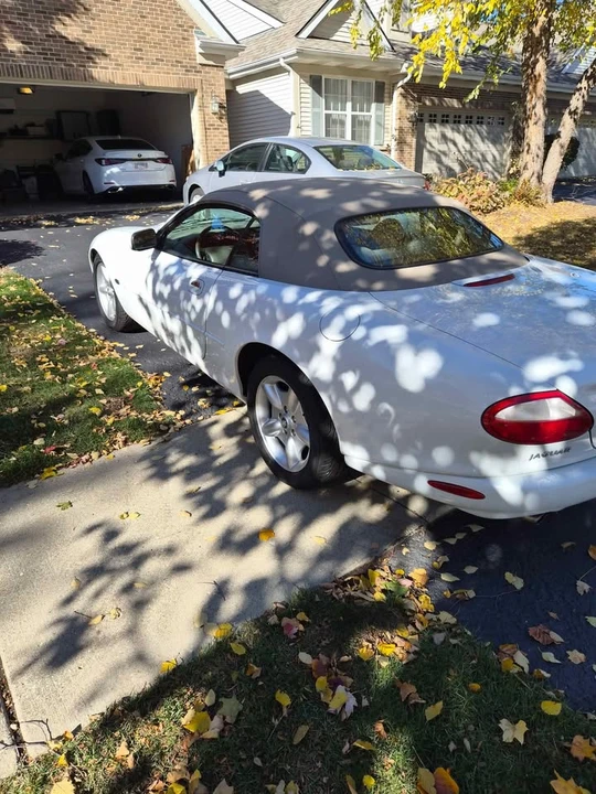1998 Jaguar X100 XK8 - Image 3 of 10