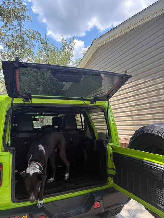 2021 Jeep JL Wrangler - Image 10 of 13