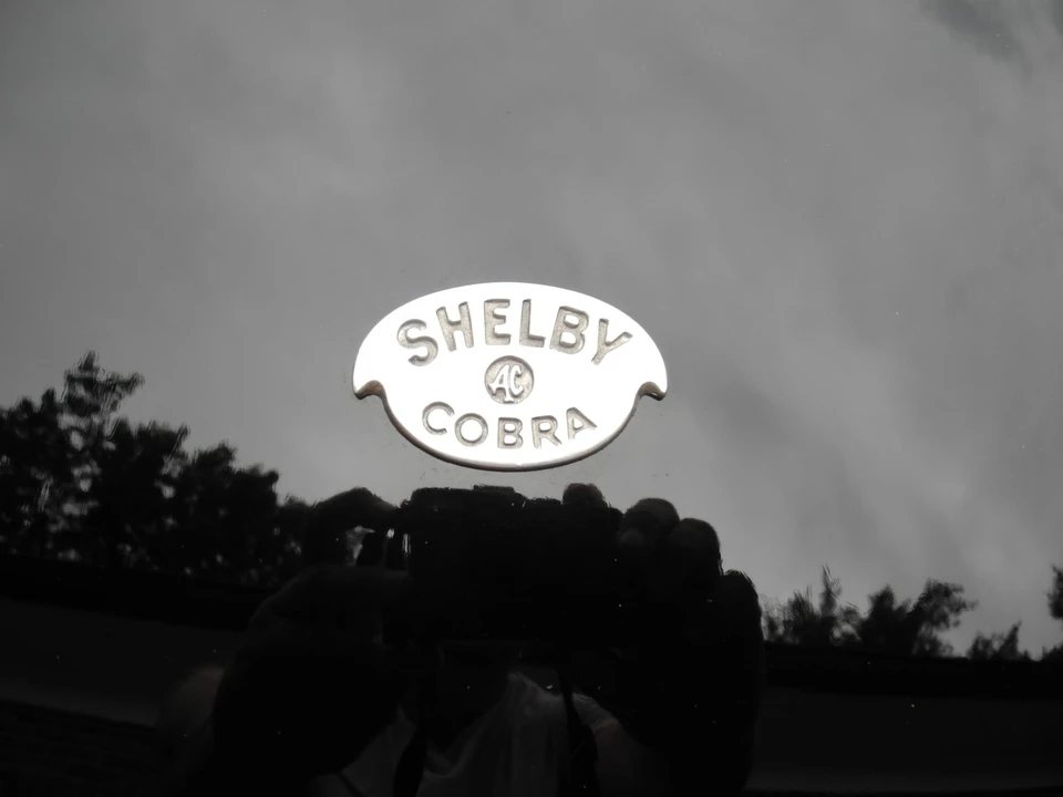Shelby Cobra Replica - Image 17 of 31