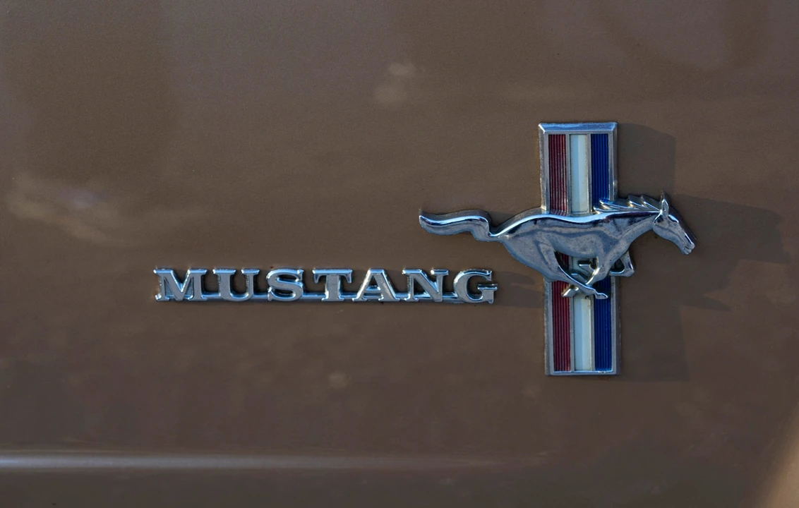 1965 Ford Mustang 1st Gen (1964.5-1966) - Image 23 of 31