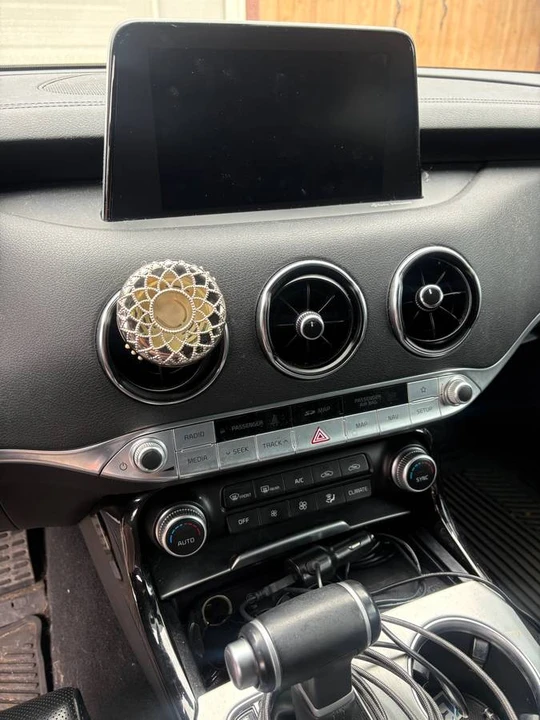 2019 Kia Stinger GT - Image 9 of 11