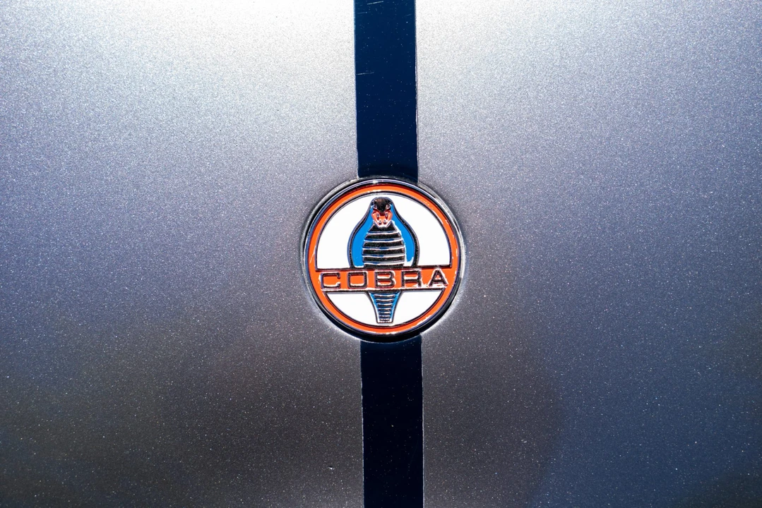 Shelby Cobra Replica - Image 26 of 31