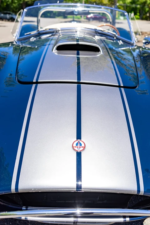 Shelby Cobra Replica - Image 25 of 31