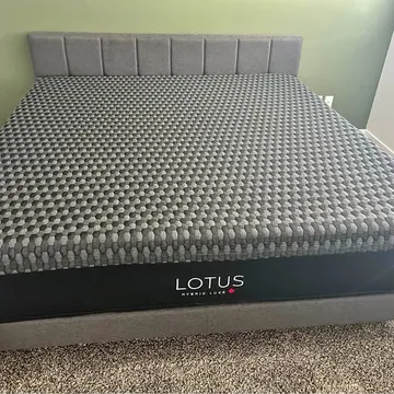 King mattress (Lotus Hybrid Luxe) and frame