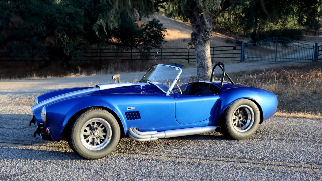 Shelby Cobra Replica - Image 31 of 31