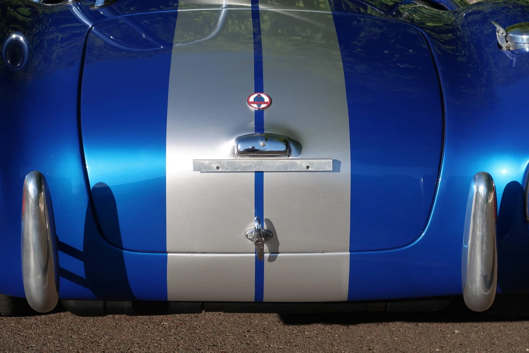 Shelby Cobra Replica - Image 30 of 31