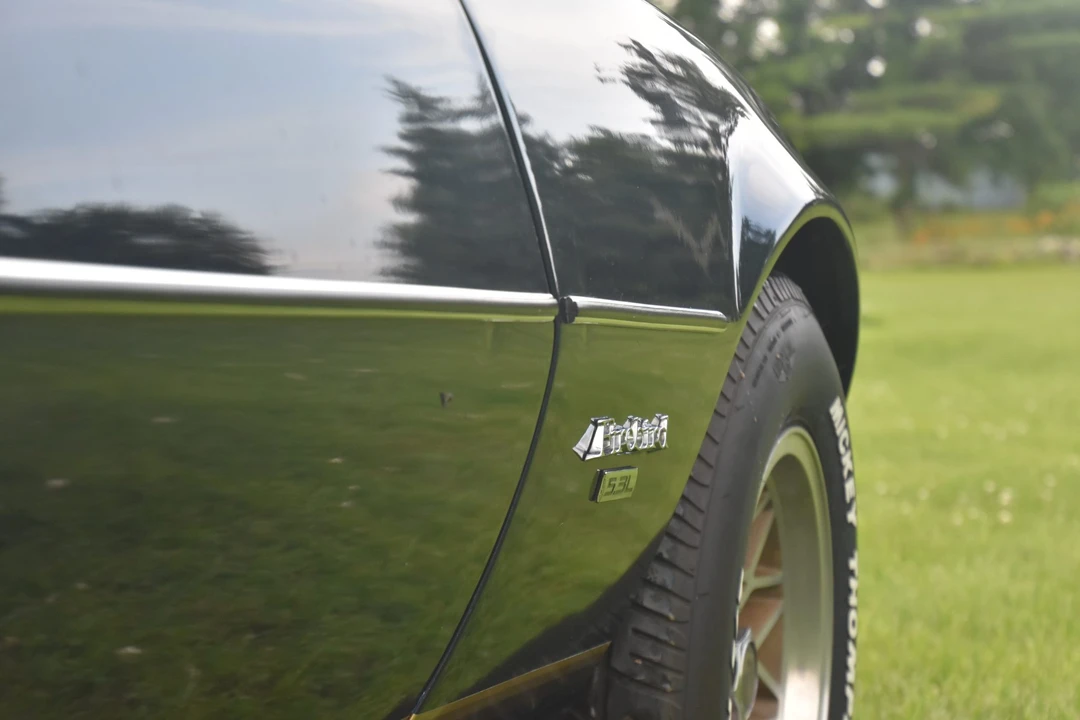 1981 Pontiac Firebird 2nd Gen - Image 29 of 31