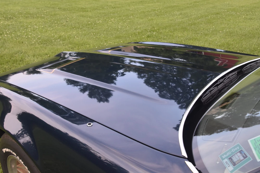 1981 Pontiac Firebird 2nd Gen - Image 25 of 31