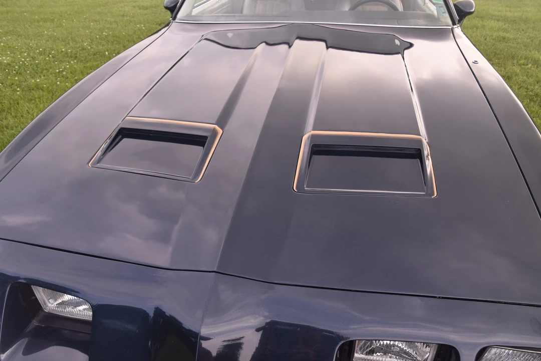 1981 Pontiac Firebird 2nd Gen - Image 24 of 31