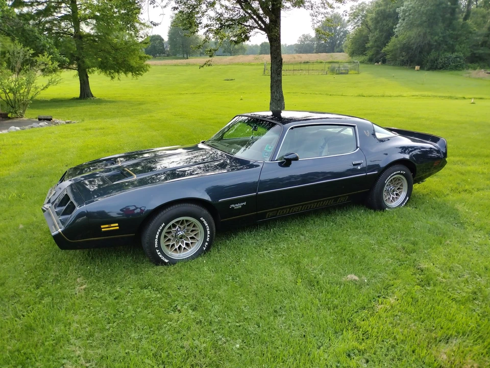 1981 Pontiac Firebird 2nd Gen - Image 4 of 31