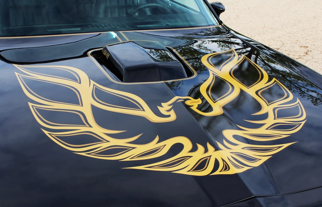 1978 Pontiac Firebird Trans Am 2nd Gen - Image 31 of 31