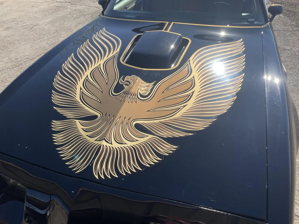 1981 Pontiac Firebird Trans Am 2nd Gen - Image 22 of 31