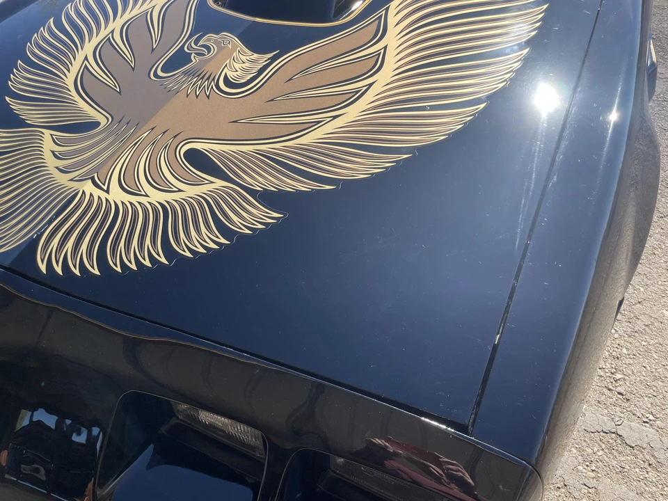 1981 Pontiac Firebird Trans Am 2nd Gen - Image 23 of 31