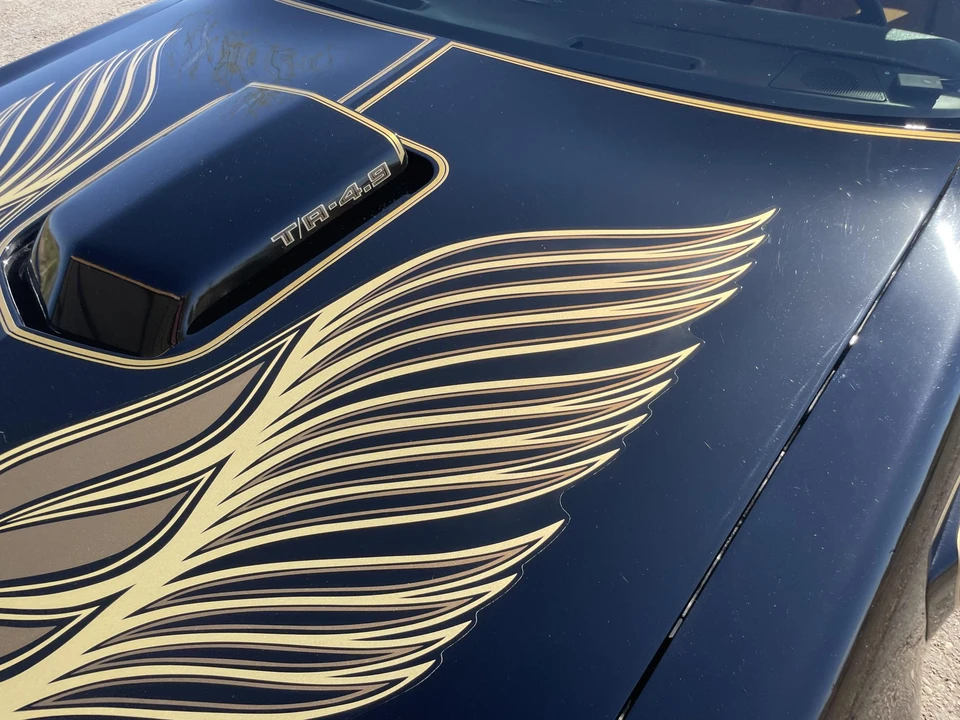 1981 Pontiac Firebird Trans Am 2nd Gen - Image 25 of 31