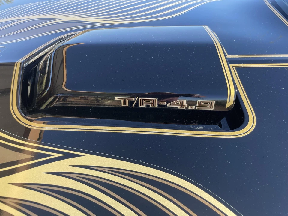1981 Pontiac Firebird Trans Am 2nd Gen - Image 27 of 31