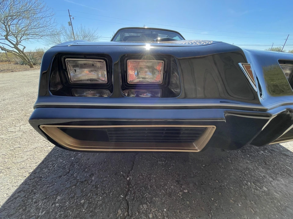 1981 Pontiac Firebird Trans Am 2nd Gen - Image 13 of 31