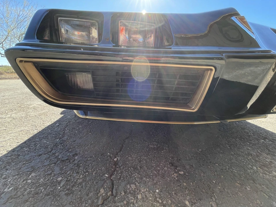 1981 Pontiac Firebird Trans Am 2nd Gen - Image 14 of 31