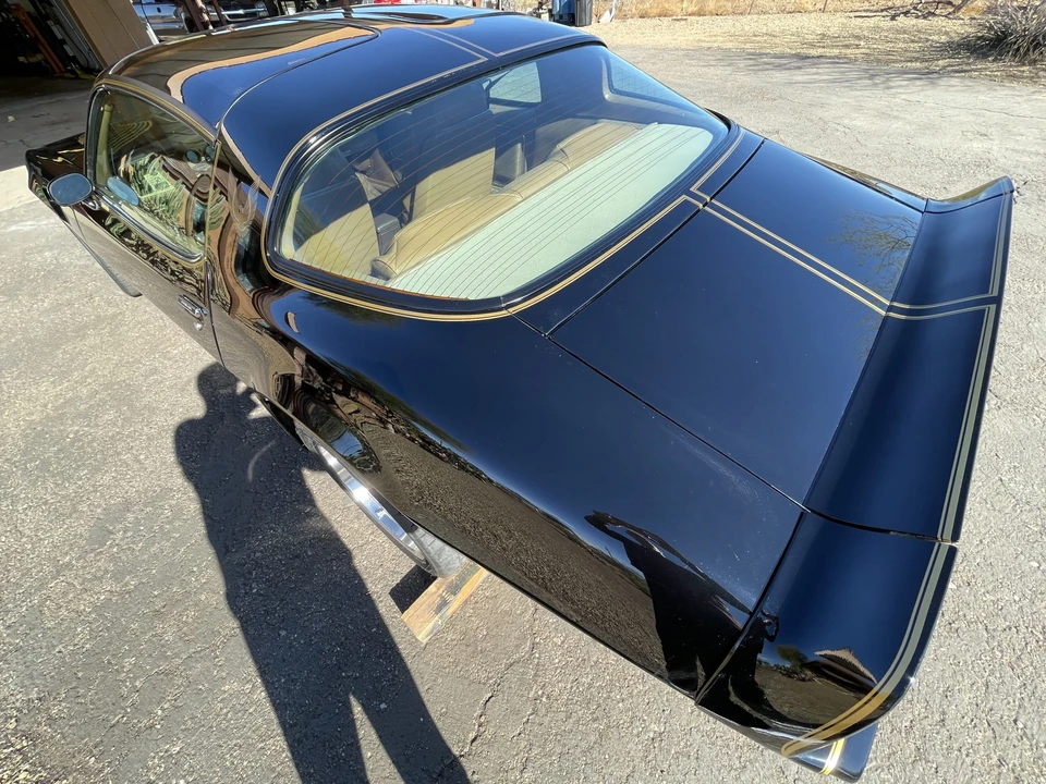 1981 Pontiac Firebird Trans Am 2nd Gen - Image 31 of 31