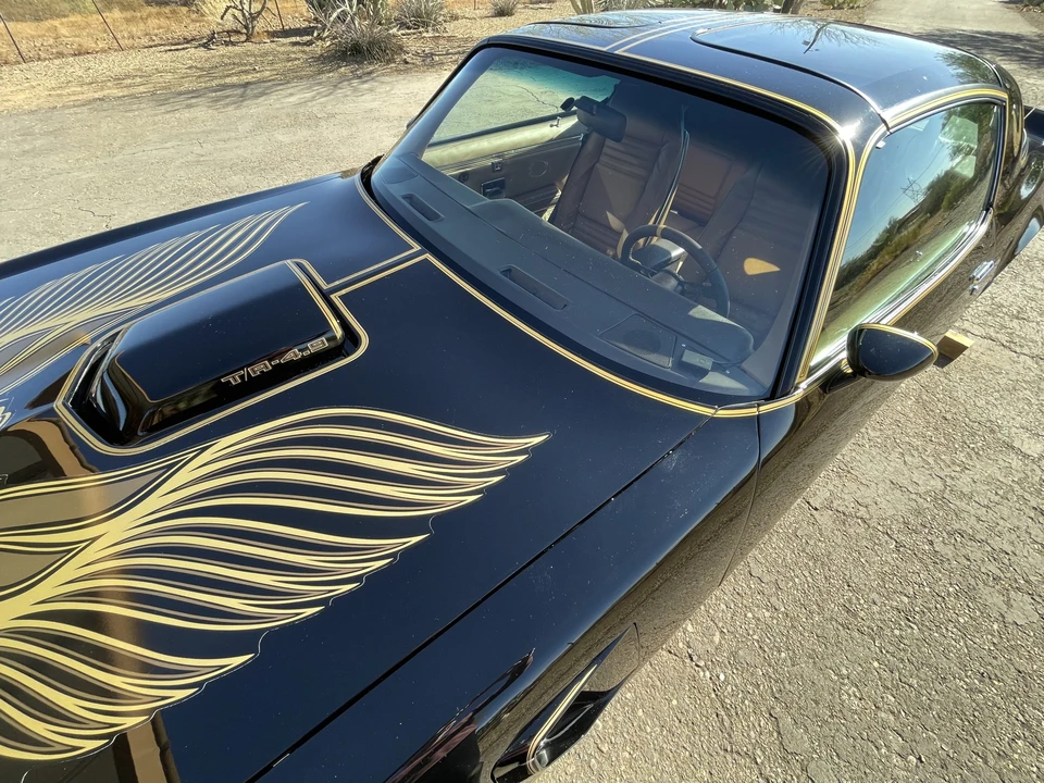 1981 Pontiac Firebird Trans Am 2nd Gen - Image 24 of 31