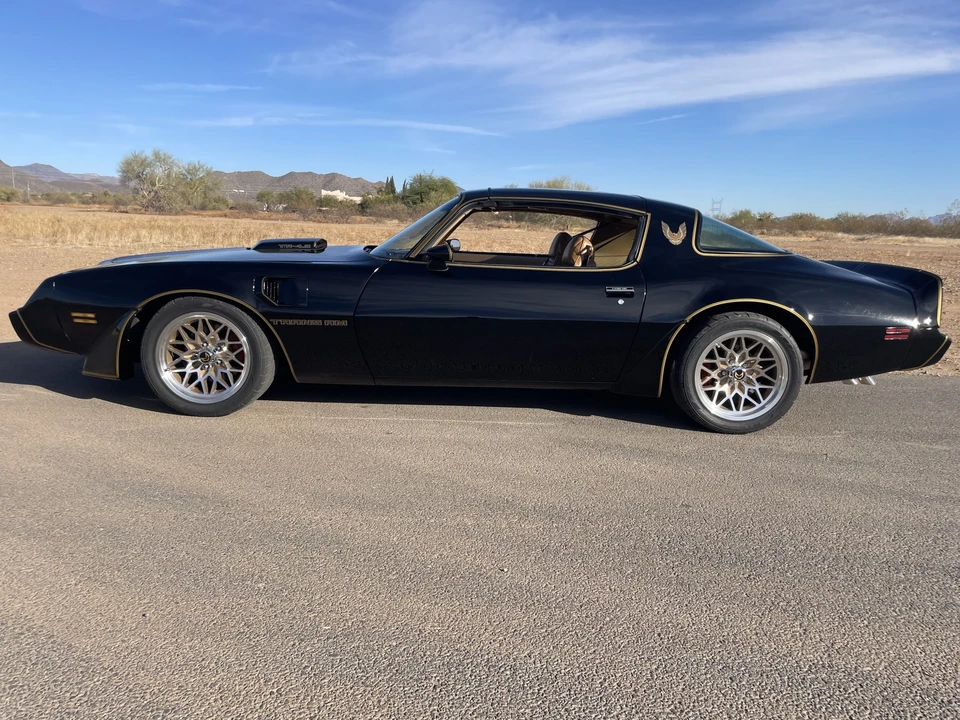 1981 Pontiac Firebird Trans Am 2nd Gen - Image 5 of 31