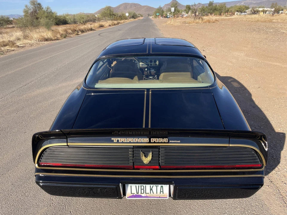 1981 Pontiac Firebird Trans Am 2nd Gen - Image 7 of 31