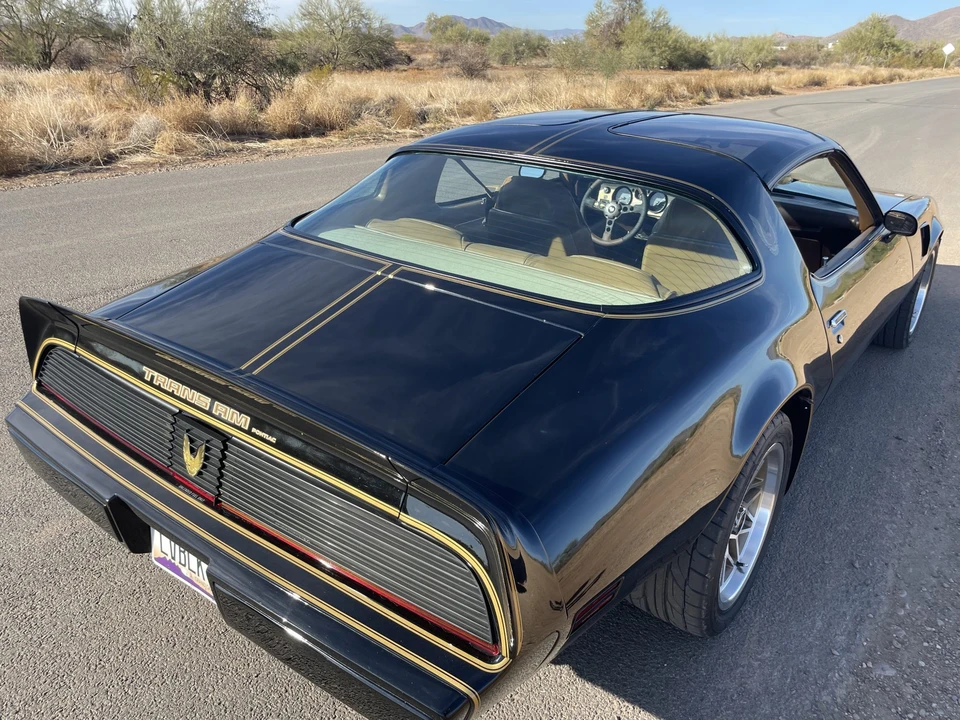 1981 Pontiac Firebird Trans Am 2nd Gen - Image 8 of 31