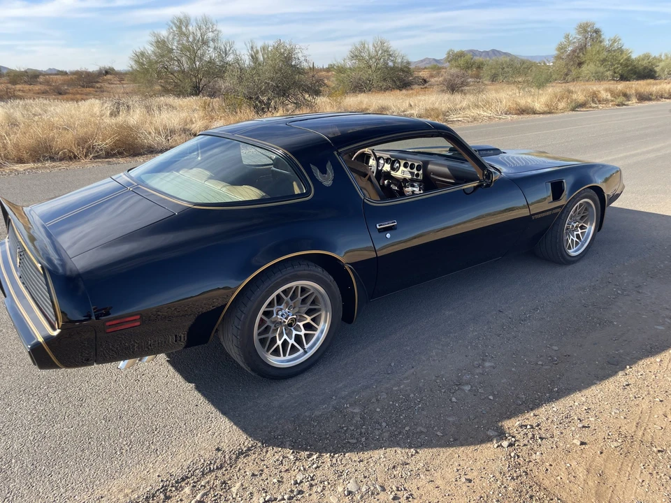 1981 Pontiac Firebird Trans Am 2nd Gen - Image 9 of 31