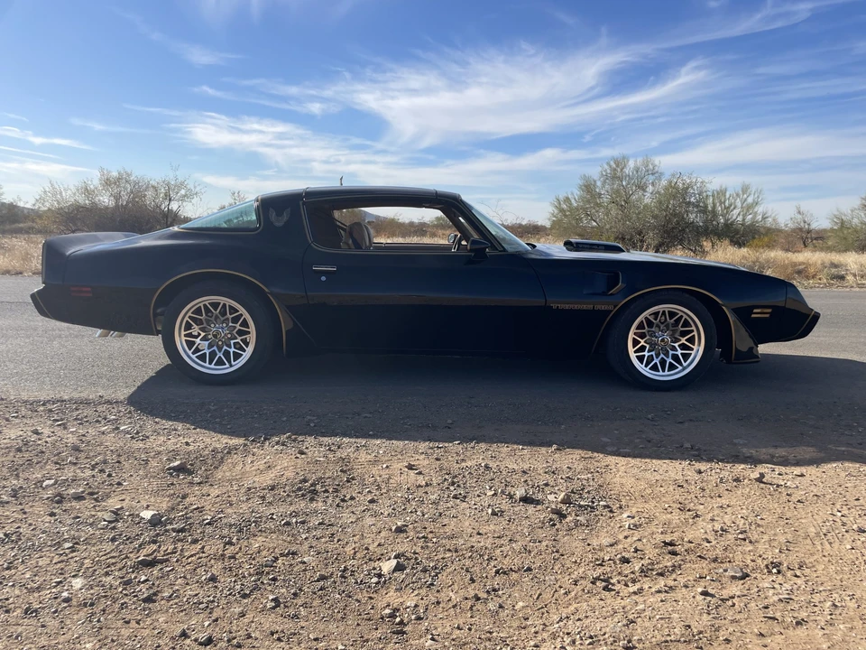 1981 Pontiac Firebird Trans Am 2nd Gen - Image 10 of 31