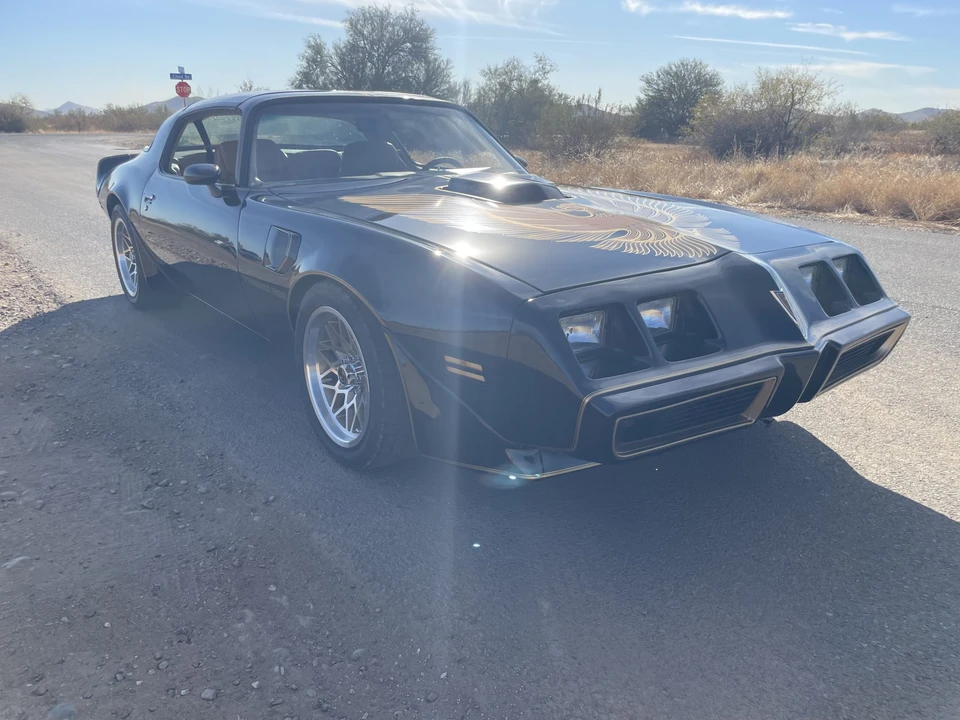 1981 Pontiac Firebird Trans Am 2nd Gen - Image 11 of 31